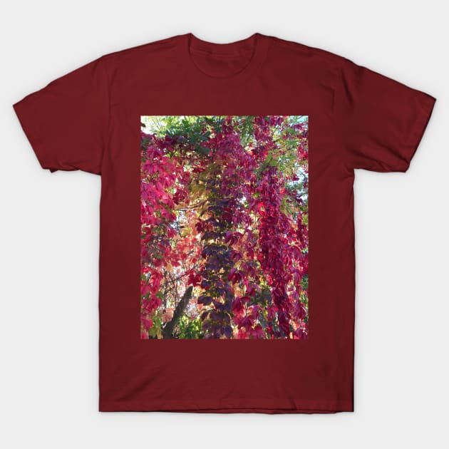 Autumn Fire T-Shirt by MrTiggersShop